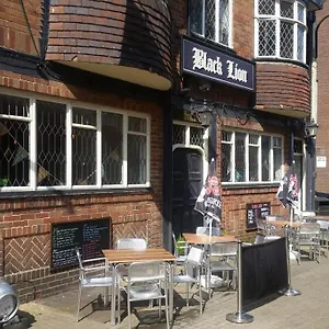 book here